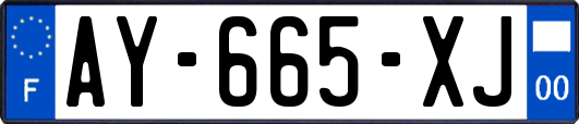 AY-665-XJ