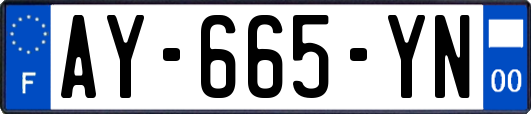 AY-665-YN