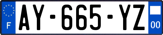 AY-665-YZ