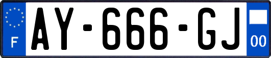 AY-666-GJ