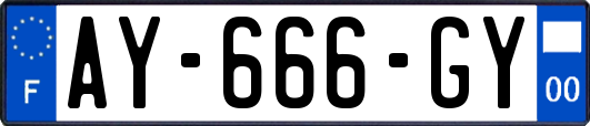 AY-666-GY