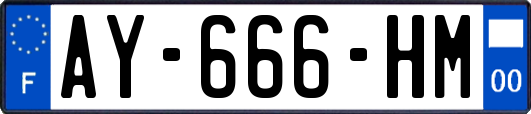 AY-666-HM