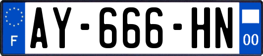 AY-666-HN