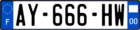AY-666-HW