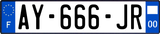 AY-666-JR