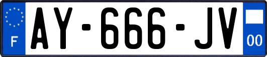 AY-666-JV
