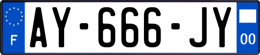 AY-666-JY