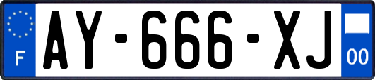 AY-666-XJ