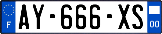 AY-666-XS