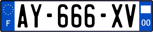 AY-666-XV