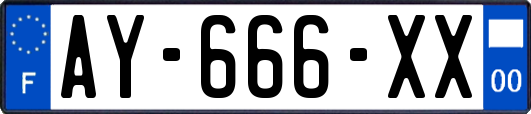 AY-666-XX