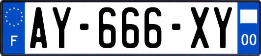 AY-666-XY