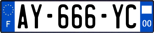 AY-666-YC
