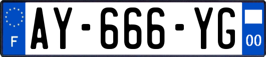 AY-666-YG