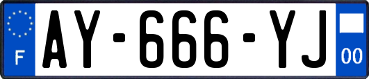 AY-666-YJ