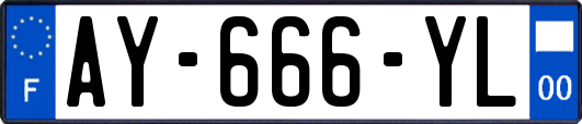AY-666-YL