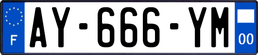 AY-666-YM