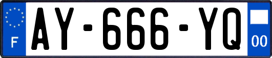 AY-666-YQ