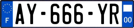 AY-666-YR