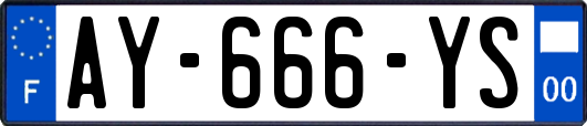 AY-666-YS