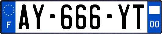 AY-666-YT