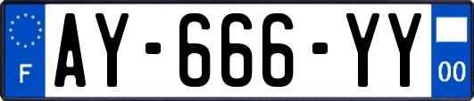 AY-666-YY