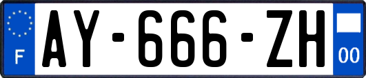 AY-666-ZH