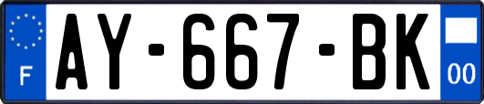 AY-667-BK