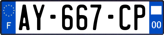 AY-667-CP
