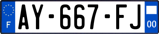 AY-667-FJ