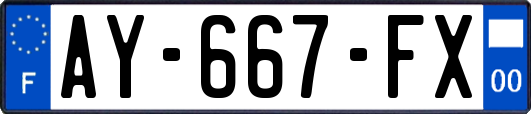 AY-667-FX