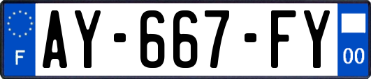 AY-667-FY