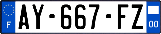 AY-667-FZ