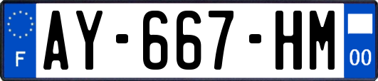 AY-667-HM