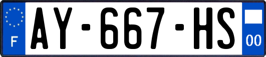 AY-667-HS