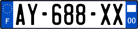 AY-688-XX