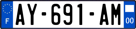 AY-691-AM