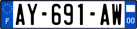 AY-691-AW