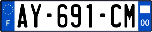 AY-691-CM