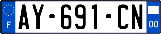 AY-691-CN