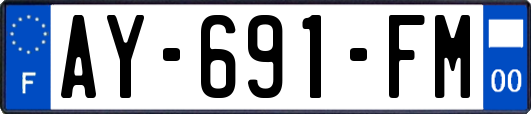 AY-691-FM