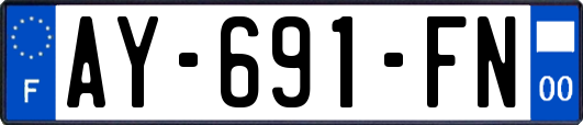 AY-691-FN