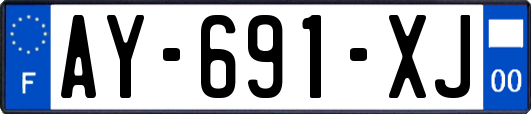 AY-691-XJ