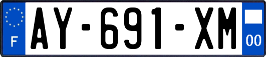 AY-691-XM