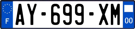 AY-699-XM