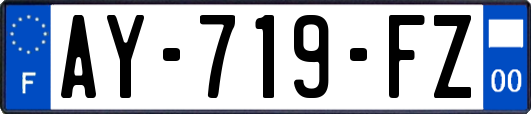 AY-719-FZ