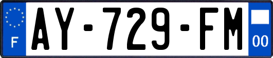 AY-729-FM
