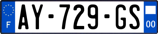 AY-729-GS