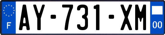 AY-731-XM