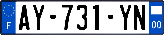 AY-731-YN